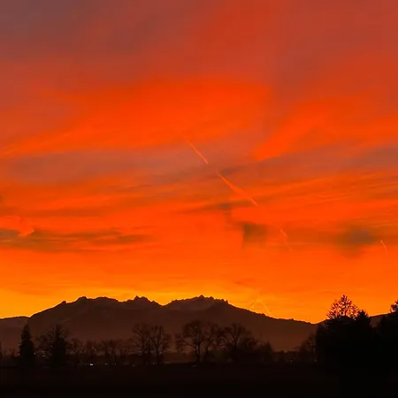 Smart Living Apartment Dornbirn